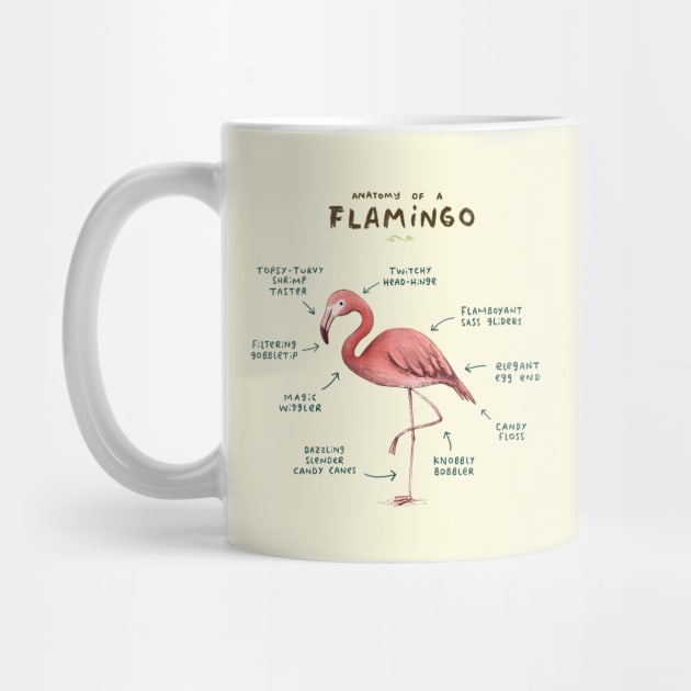 Anatomy of a Flamingo by Sophie Corrigan